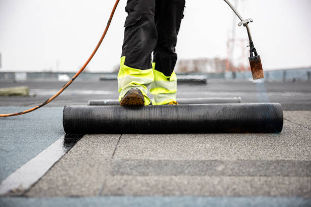 Best Wood Shake Roofing  in Lanse, MI