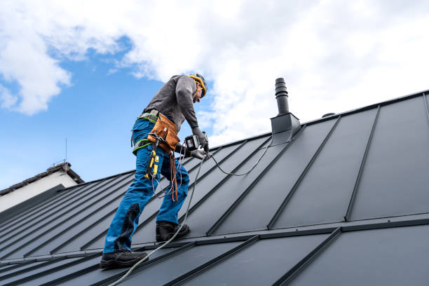 Best Roof Moss and Algae Removal  in Lanse, MI