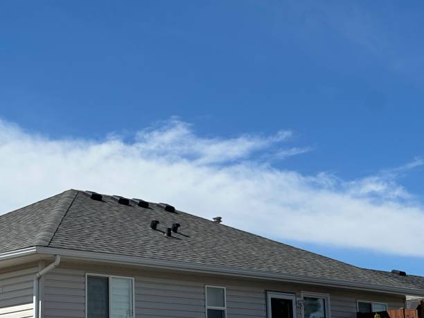 Best Tile Roofing Installation  in Lanse, MI