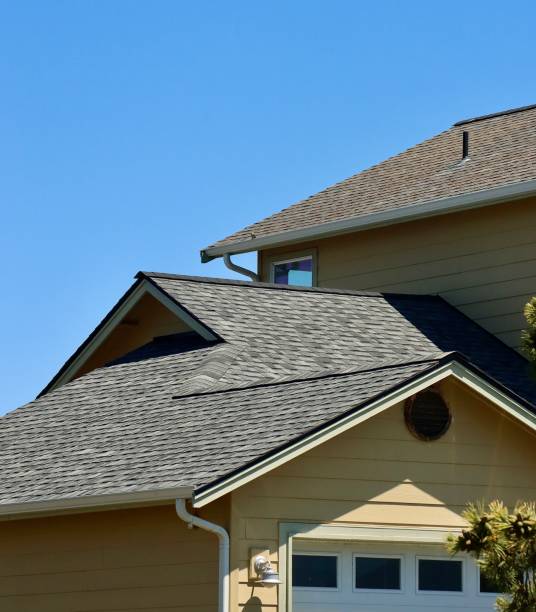 Best Storm Damage Roof Repair  in Lanse, MI